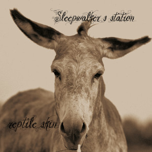 sleepwalkerstation-repitle-skin-cover-1024x1024