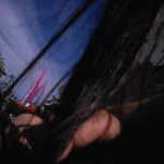 WP_001379