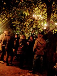 img_20161203_232910