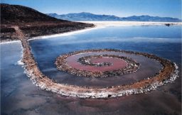 L’ecologia nella land art di Vlady Art